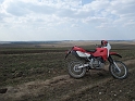 Obraz 181